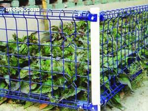 金屬絲網(wǎng)熱賣促銷 探索zt-03型號的價(jià)格、廠家與供應(yīng)商