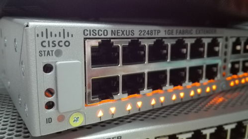 網(wǎng)絡(luò)工程畢業(yè)生的職業(yè)圖鑒 他們在哪里，后悔了嗎？